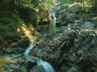 Opal Creek